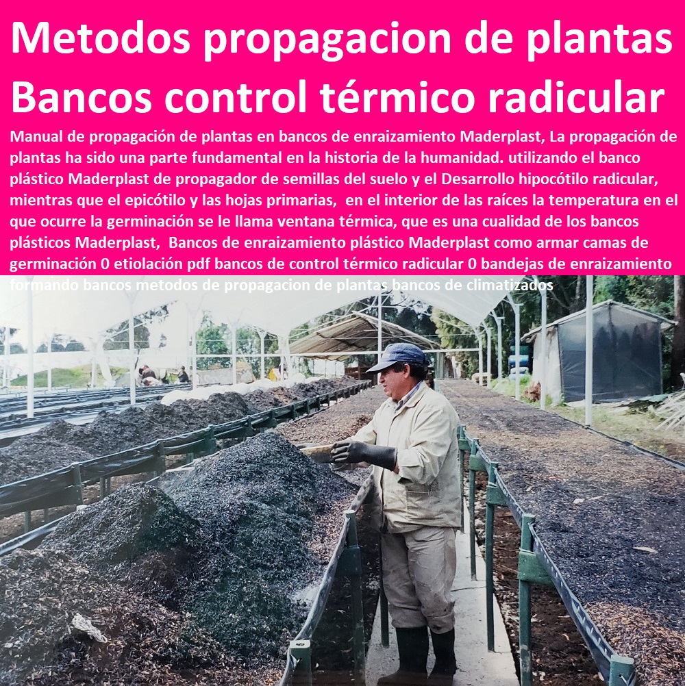 Bancos de enraizamiento plástico Maderplast como armar camas de germinación 0 etiolación pdf bancos de control térmico radicular 0 bandejas de enraizamiento formando bancos metodos de propagacion HIDROPONÍA, AGRICULTURA, COSECHA, POSCOSECHA, Tutores para Flores cable vía Bananas Aromáticas, Cultivos Tecnificados, Invernaderos, Semilleros, Bancos De Siembra, de plantas bancos de climatizados Bancos de enraizamiento plástico Maderplast como armar camas de germinación 0 etiolación pdf bancos de control térmico radicular 0 bandejas de enraizamiento formando bancos metodos de propagacion de plantas bancos de climatizados